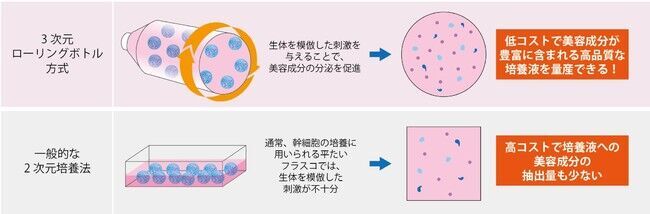 話題のヒト幹細胞コスメ、ちゃんと理解している？皮膚科医に聞く、『ヒト幹細胞美容液』の仕組みと選び方の4枚目の画像