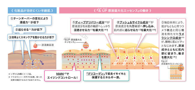 浸透・循環・活性を高め、美容成分を最大化(※4)『&UP 原液最大化エッセンス』　2021年4月26日（月）新発売の2枚目の画像