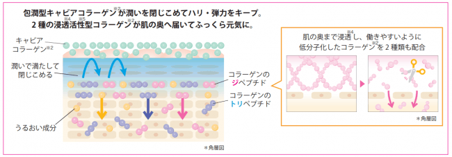 大人肌の「コラーゲンIN/OUTバランス」に着目した新発想で、ハリ・弾力はさらなる高みへ！『キャビアコラーゲン原液』の2枚目の画像