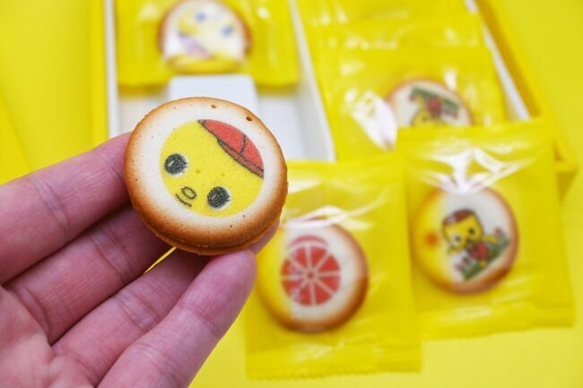 美味しいお菓子になったです！「フエキくんラングドシャ」新登場の4枚目の画像