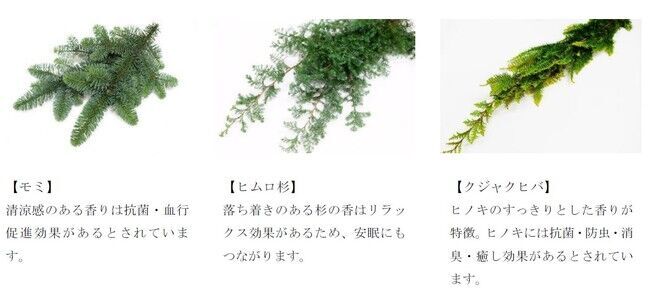 香るオーナメント付きの「スワッグ」のクリスマス飾りを期間限定で発売／おうち時間を彩りと香りで楽しむ、インテリアグリーンのトレンドアイテムの4枚目の画像