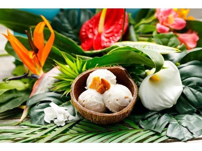 元ミシュランシェフがジャングルの奥地で開発した秘密のレシピ。～自然の恵みから生まれたココナッツアイスクリームが日本初上陸！！ ～の4枚目の画像