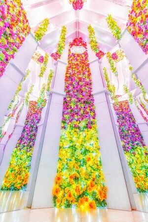 日本三大イルミネーション認定のあしかがフラワーパーク『光の花の庭～Flower Fantasy2020～』が2020年10月17日（土）より開催！の5枚目の画像