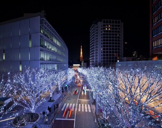 11/14～イルミネーションや特別ディナーを楽しむおこもりステイプラン～ グランド ハイアット 東京 ～の1枚目の画像