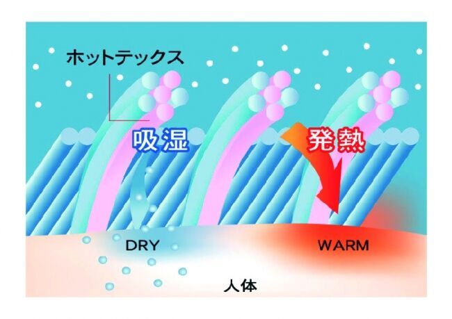 ディノスが、健康ブランド「ファイテン」とコラボ。インナーとパジャマを新発売の9枚目の画像