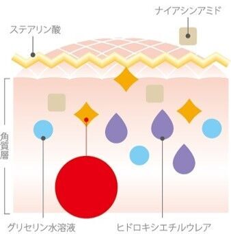 【Dove新商品情報】ダヴ 洗顔料&クリーミー泡洗顔料からかわいらしい水森亜土限定デザインを発売！の3枚目の画像