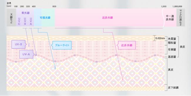 ステイホームで売上増*。デジタル時代の加速で注目される、ブルーライトもブロックする「サンスクリーン」の1枚目の画像