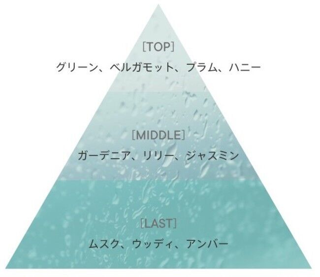 雨上がりの空に、たくさんの笑顔が広がりますように。SHIRO PERFUME より限定の香りが新登場。6/24(木) 午前10時より、SHIROオンラインストア、全国店舗にて予約受付開始。の3枚目の画像