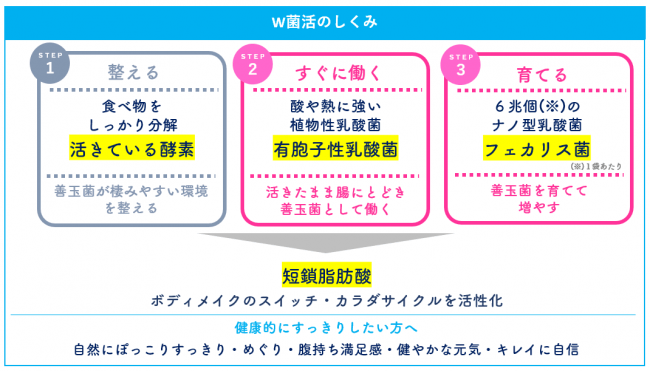 独自製法による「活きている酵素」×6兆個のナノ型乳酸菌で大人のボディメイクをサポート「夜遅いごはんでも(R) W菌活ボディメイク」７回分のお試しサイズを限定発売の3枚目の画像