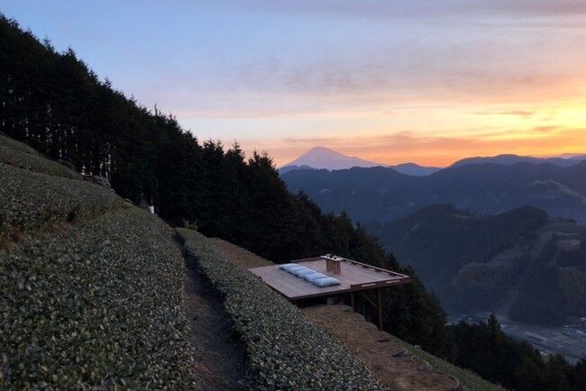 深緑の茶畑につくられたティーテラスで「茶の間」予約好調！！の7枚目の画像