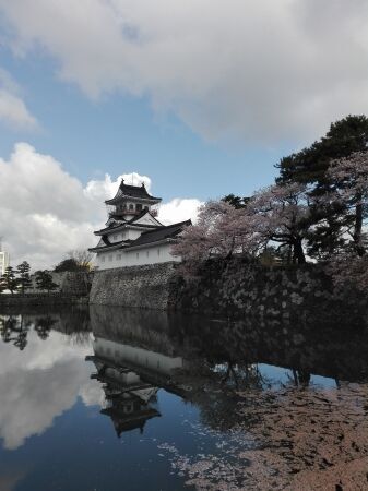 オンライン飲み会サービス『たくのむ』　全国の自治体や花見実行委員会と連携し、花見がオンラインで体験できるキャンペーンを開催いたします。の7枚目の画像