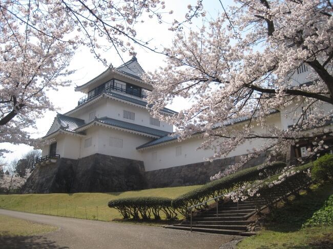 オンライン飲み会サービス『たくのむ』　全国の自治体や花見実行委員会と連携し、花見がオンラインで体験できるキャンペーンを開催いたします。の8枚目の画像