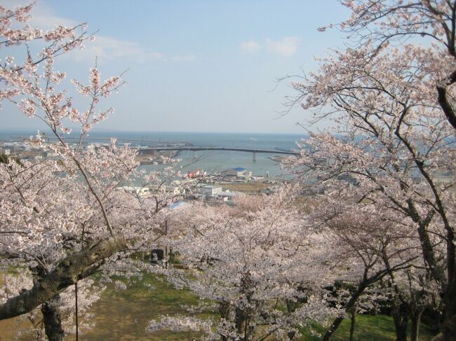 オンライン飲み会サービス『たくのむ』　全国の自治体や花見実行委員会と連携し、花見がオンラインで体験できるキャンペーンを開催いたします。の1枚目の画像