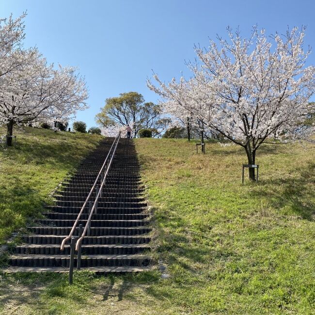 オンライン飲み会サービス『たくのむ』　全国の自治体や花見実行委員会と連携し、花見がオンラインで体験できるキャンペーンを開催いたします。の10枚目の画像