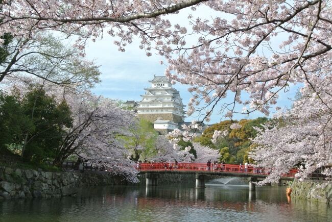 オンライン飲み会サービス『たくのむ』　全国の自治体や花見実行委員会と連携し、花見がオンラインで体験できるキャンペーンを開催いたします。の6枚目の画像