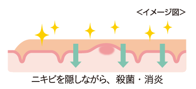 もう”ニキビ”で悩まない！隠すだけじゃない！毛穴やニキビ跡などのイチゴ鼻でお悩みの方に「フォーミィ　イチゴ鼻消し薬用コンシーラー」登場！今だけ限定「200名モニター」募集中！の5枚目の画像