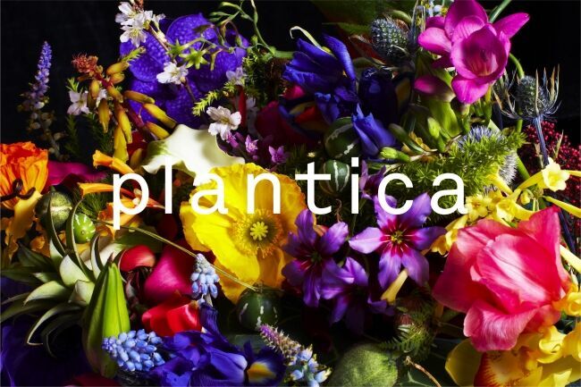 海外展開を広げているフラワーアート・ユニット「plantica（プランティカ）」が世界的パズルメーカーPINTOOとのスペシャルコラボレーションを実施。2月27日より予約販売開始の7枚目の画像