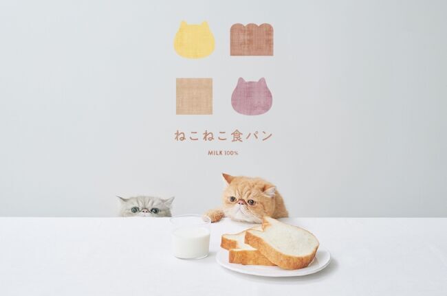 【岡山初出店】「Heart Bread ANTIQUE（ハートブレッドアンティーク）」および「ねこねこ食パン」がアリオ倉敷にオープン！の6枚目の画像