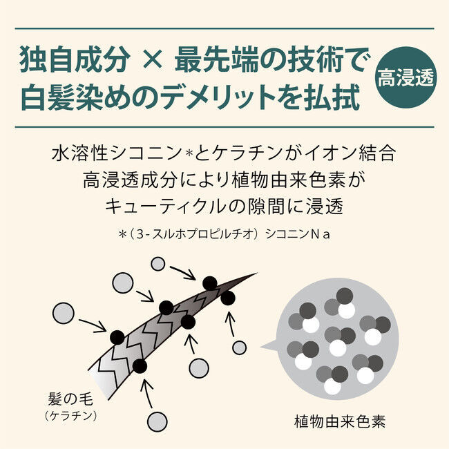 【世界初*新発売】白髪染めはヘアダメージと引き換え...そんな常識を払拭。低刺激と最新の染毛テクノロジーで完成された、植物由来色素100%の想いやり「SUNAカラートリートメント」登場の3枚目の画像