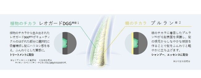 今の美しさを、この先もあたりまえに 未来の髪を守るサロン専売新ブランド スカルプケアライン『KASUI（カスイ）』10月1日 誕生の11枚目の画像