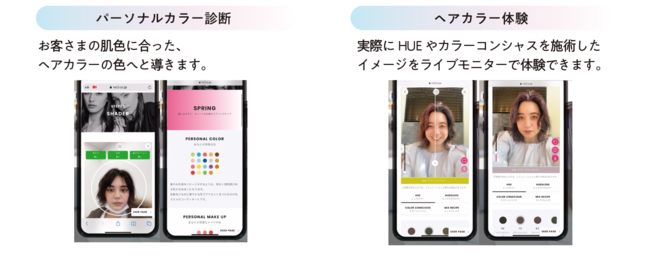 サロンでのヘアカラーカウンセリングに活用できる、パーソナルカラー診断とヘアカラー体験が可能なオンラインARサービス、「WELLBEING　ONLINE」新登場！の5枚目の画像