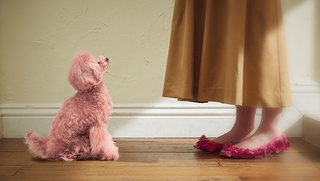 “すべての謎はピンクの靴から始まる” シューズブランドのHIMIKOが新ストーリー「Mystery of on amari」発表！WEB小説に合わせた商品を展開の4枚目の画像