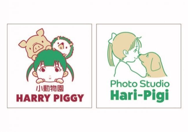 吉祥寺初！ハリネズミ&マイクロブタふれあいカフェ『小動物園 HARRY PIGGY / Photo Studio Hari-Pigi』7月27日（土）　オープン！の13枚目の画像