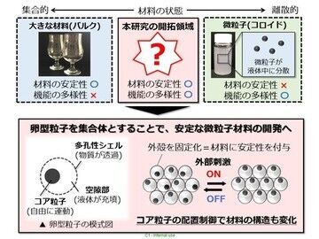 2019年度 第14回「ロレアル-ユネスコ女性科学者 日本奨励賞」受賞者発表の9枚目の画像