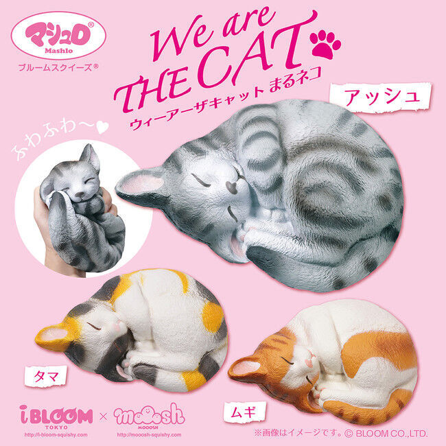 【猫好きな方必見！】人気の「猫スイーツ」スクイーズに新色が登場！の6枚目の画像