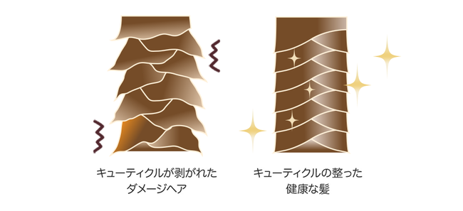 髪も日焼けするって知ってる？タングルティーザーで紫外線対策を！夏らしいデザインが7月下旬に新登場の2枚目の画像