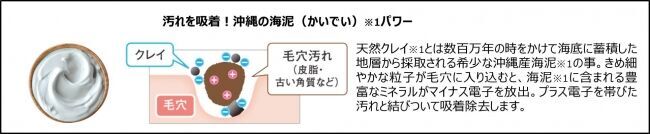 泡立て＆W洗顔不要敏感肌用クレンジングジェル2020年6月5日発売の2枚目の画像