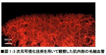 ゆるみ見せない目もと・頬に。　「つや玉」さらに輝くエリクシール新美容液「エステティックエッセンス」誕生　～2020年10月21日（水）発売～の6枚目の画像