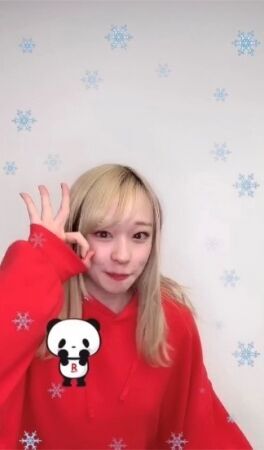 楽天、「お買いものパンダ」の公式アカウントを「TikTok」において開設の3枚目の画像