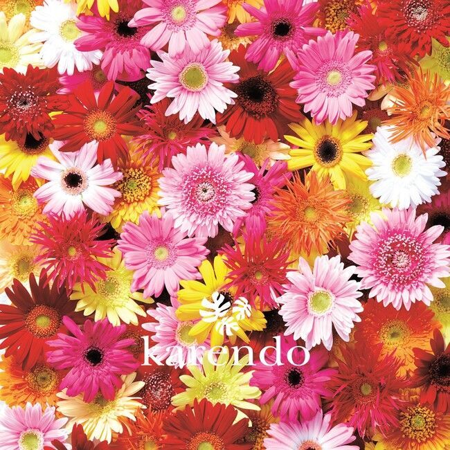 フラワーショップkarendoより「お花」×「ECO」で環境に優しい『Flower ECO bag bouquet -フラワーエコバッグブーケ-』新登場の9枚目の画像