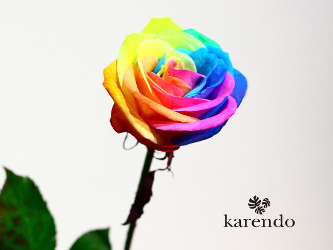 フラワーショップkarendoより「お花」×「ECO」で環境に優しい『Flower ECO bag bouquet -フラワーエコバッグブーケ-』新登場の8枚目の画像