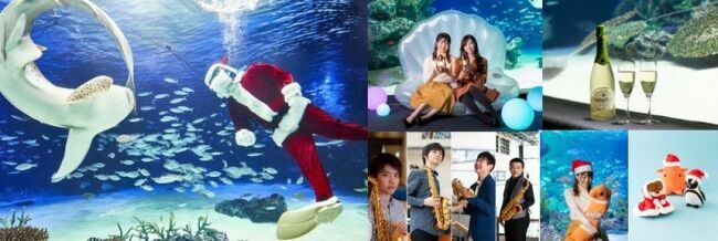 サンシャイン水族館を貸切！女性限定「海のクリスマスパーティ」募集開始。OZmall × サンシャイン女子道のコラボイベント12月18日(水) 開催の1枚目の画像