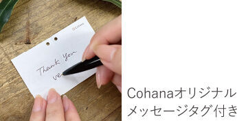 ”上質なハンドメイドの道具”「Cohana」（コハナ）「2021年冬季限定商品」＆新しい「ギフトセット」発売の11枚目の画像