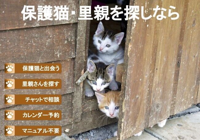 保護猫×里親×キャットシッターを繋ぐ「ネコタロウ」を全国リリースの2枚目の画像