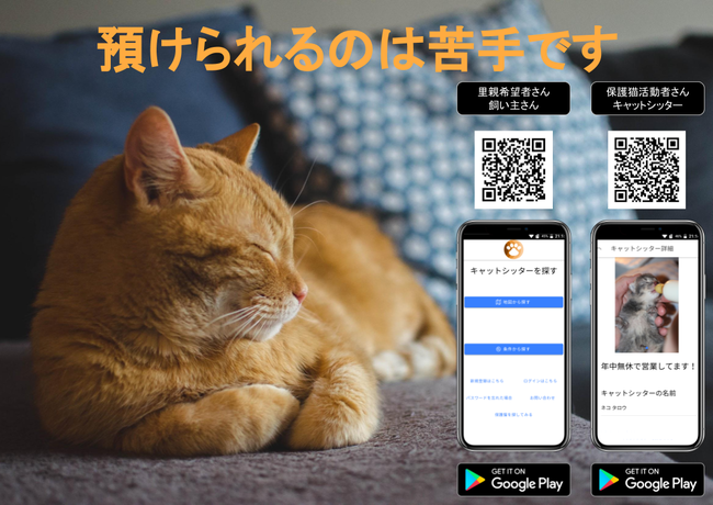 保護猫×里親×キャットシッターを繋ぐ「ネコタロウ」を全国リリースの4枚目の画像