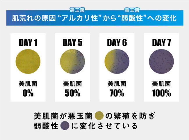 自分の肌から「美肌菌」を採取・培養した菌活コスメ。フルオーダーメイドスキンケア高濃度DNA美肌成分原液　エルピダ「ayu puspa」誕生！の6枚目の画像