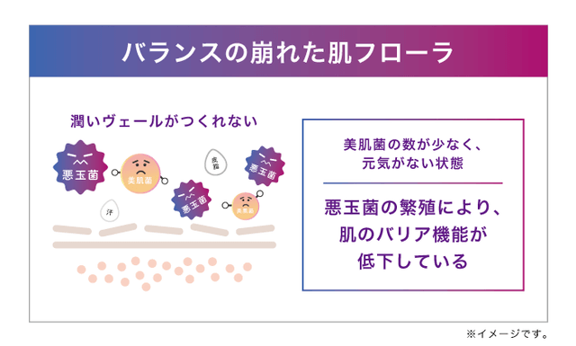 自分の肌から「美肌菌」を採取・培養した菌活コスメ。フルオーダーメイドスキンケア高濃度DNA美肌成分原液　エルピダ「ayu puspa」誕生！の5枚目の画像