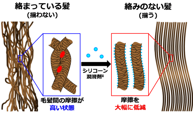 自発的に髪が揃う技術を開発の2枚目の画像