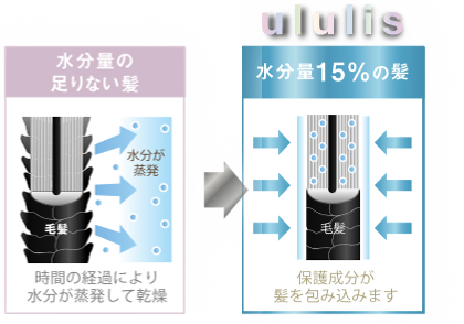 インナードライ髪の水分量に着目！新ウォーターパック美容シャンプー“ululis(ウルリス)”　2021年4月28日（水）より販売開始。の5枚目の画像