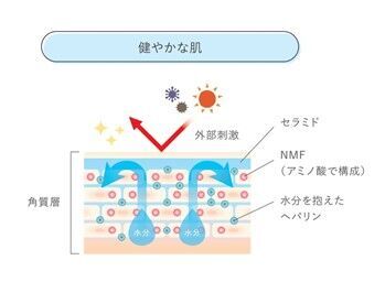 夏終わりの深刻な肌悩みから脱却！ダメージを蓄積した肌に今こそ取り入れたい「AdryS」流スキンケアテクニックを紹介の9枚目の画像