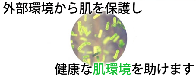 美の聖地！韓国でクラファン大ヒット商品、魔法の【堅炭毛穴クレンジング】日本上陸の11枚目の画像