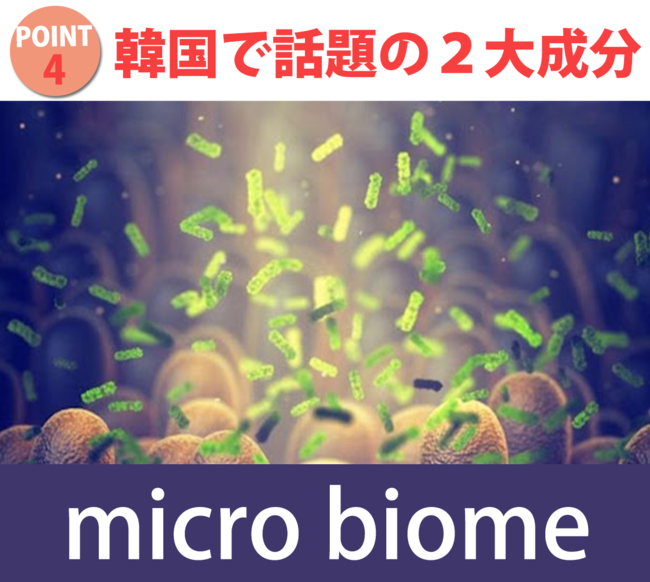 美の聖地！韓国でクラファン大ヒット商品、魔法の【堅炭毛穴クレンジング】日本上陸の10枚目の画像