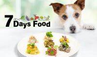愛犬のごはんの時間を楽しく！「7Days Food」販売開始