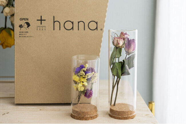 +hana 母の日キャンペーン開催！フラワーボトルもれなくプレゼント～届いたお花をドライフラワーにして長く楽しむご提案の4枚目の画像