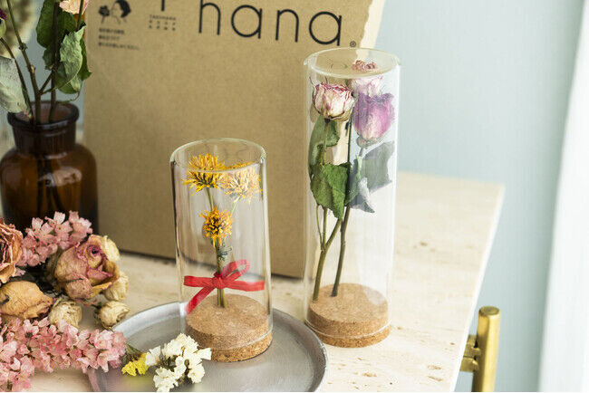 +hana 母の日キャンペーン開催！フラワーボトルもれなくプレゼント～届いたお花をドライフラワーにして長く楽しむご提案の6枚目の画像