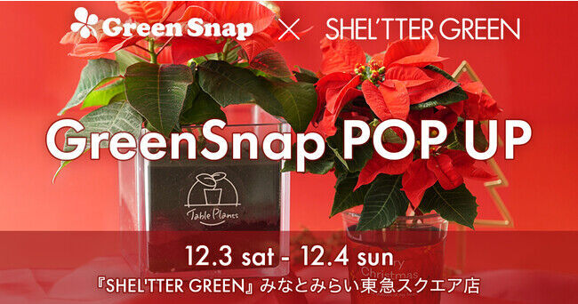 GreenSnap、『SHEL'TTER GREEN』みなとみらい東急スクエア店にてポップアップショップを開催！12月3日(土)・4日(日)の1枚目の画像